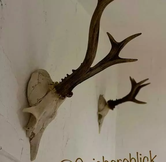 Majatalo Landgasthof Klausner