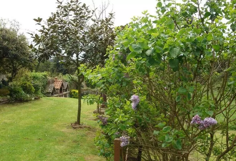 پانسیون Las Anjanas De Isla