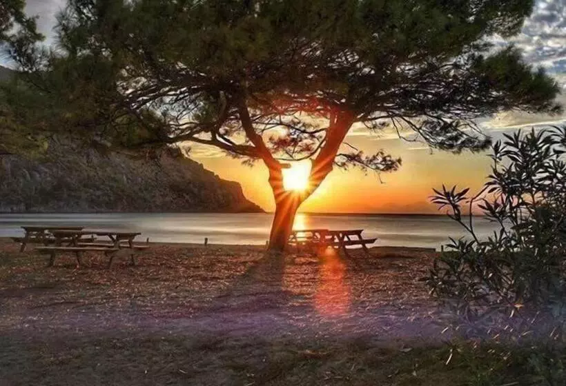 ペンション Sirius