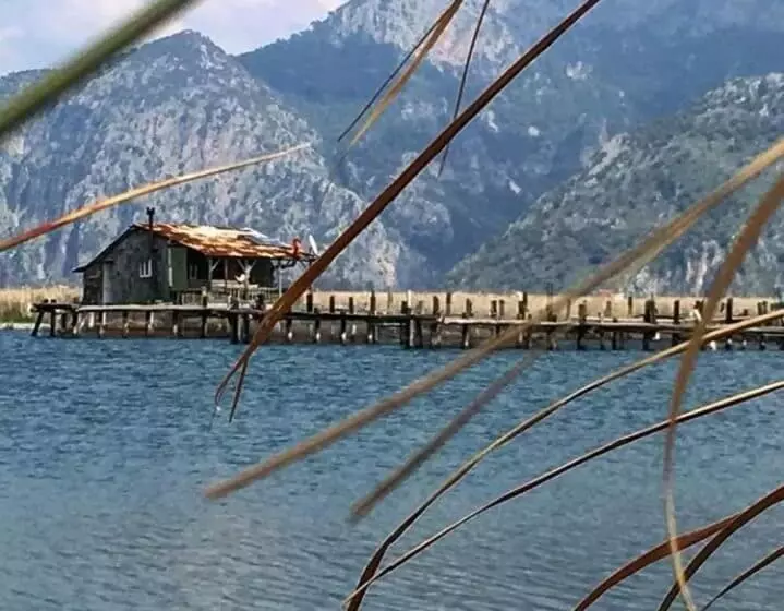 ペンション Sirius