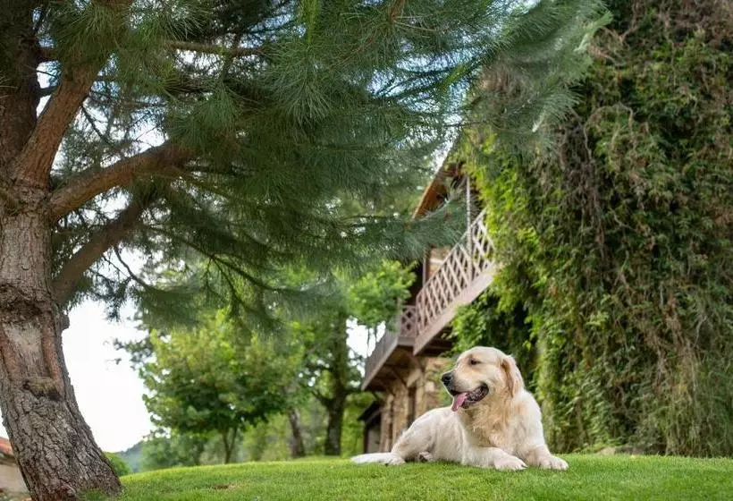 ホテル Quinta Da Rabaçosa   Turismo Rural