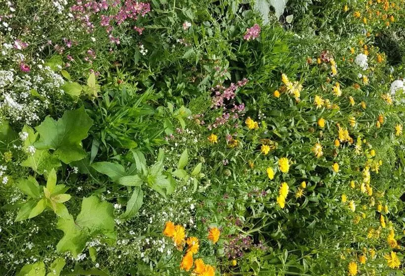 Majatalo Gästehaus Steininger