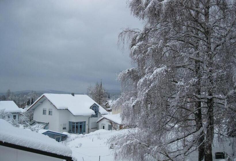 Пансион Gästehaus Steininger