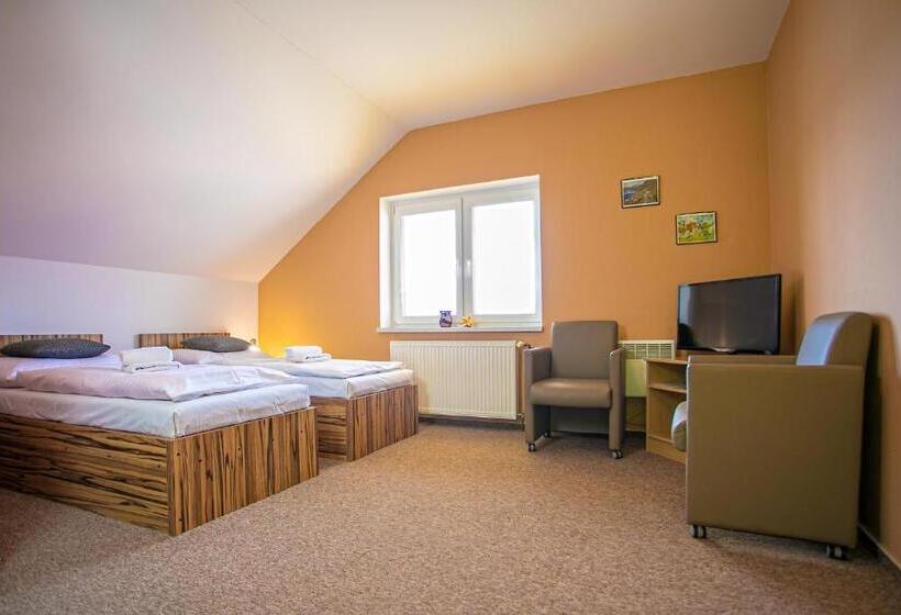 Pensionat Penzion Vion