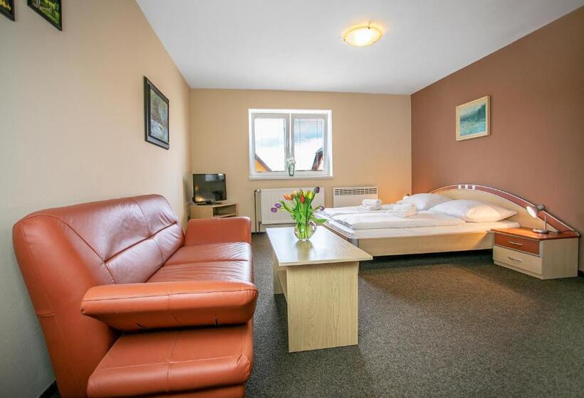 Pensionat Penzion Vion