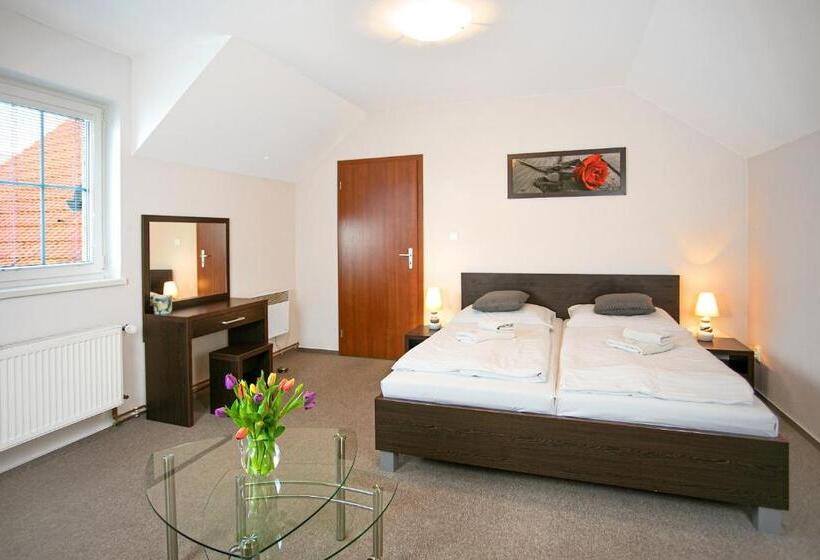 Pensionat Penzion Vion