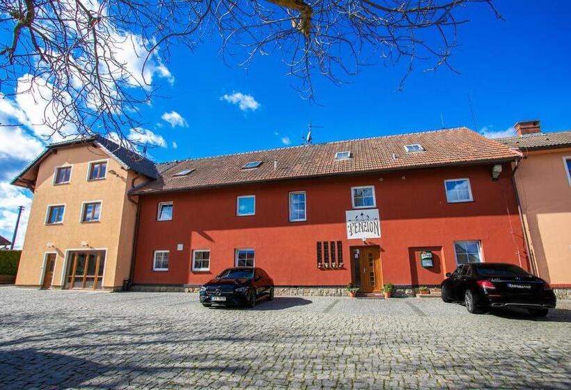 Pensionat Penzion Vion