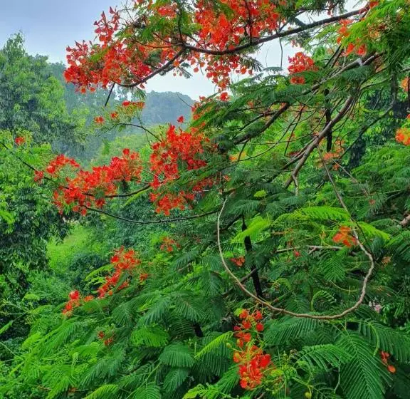 پانسیون Visal Sak Guesthouse