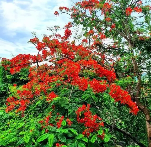 پانسیون Visal Sak Guesthouse