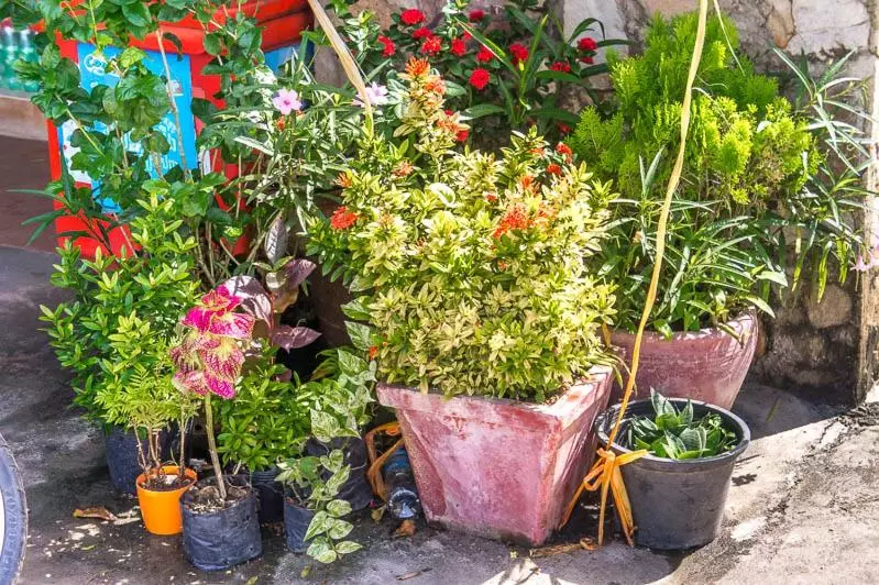 پانسیون Visal Sak Guesthouse