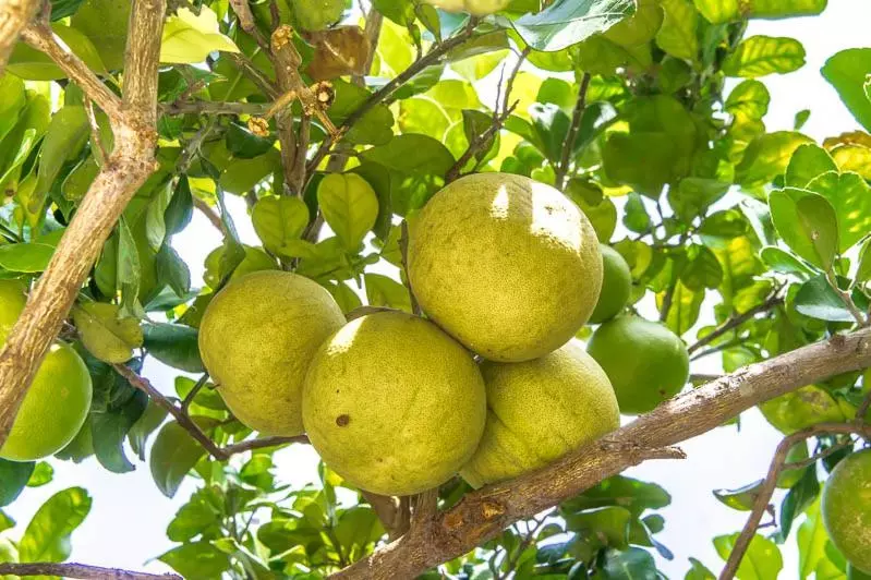 پانسیون Visal Sak Guesthouse