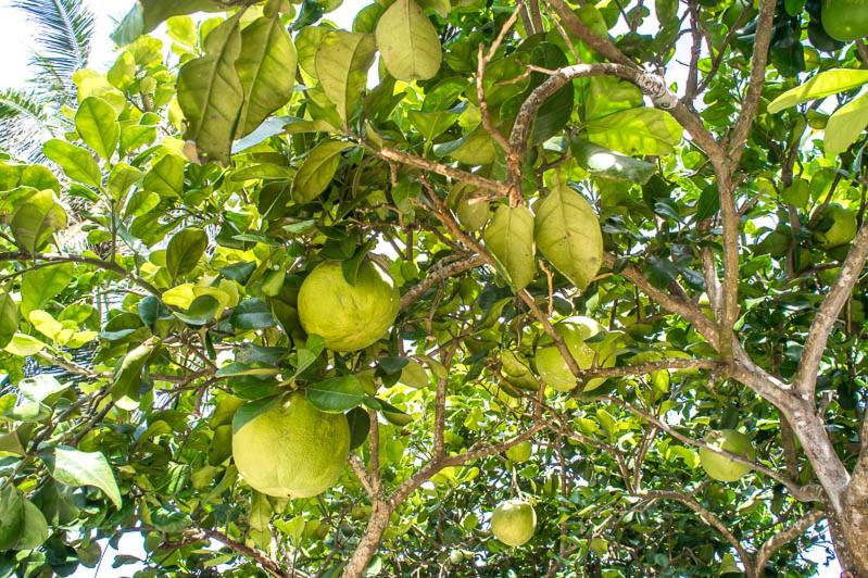 بنسيون Visal Sak Guesthouse