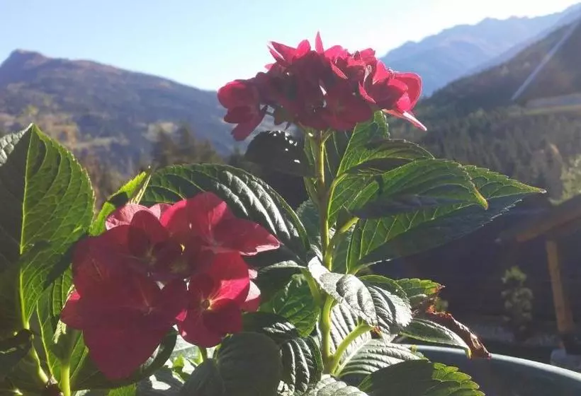 Majatalo Haus Rupitsch