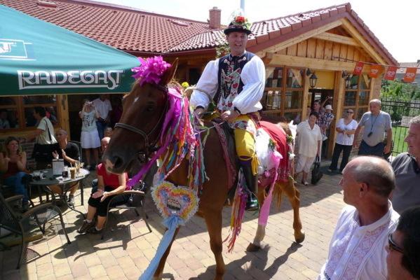 ペンション Ubytovani U Kulky