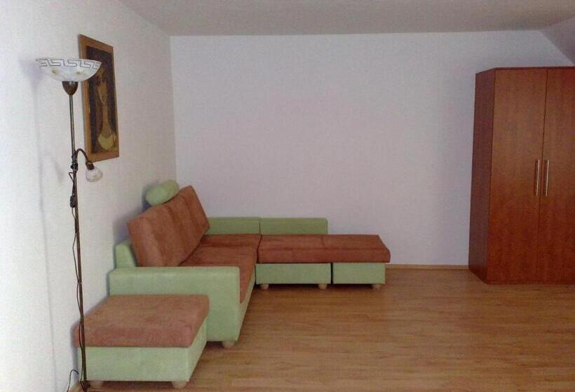 ペンション Ubytovani U Kulky