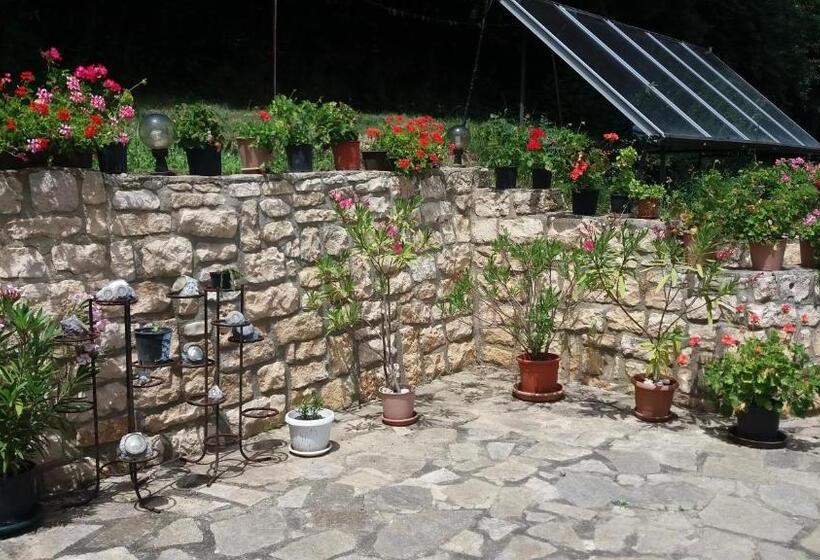 פנסיון Villa Nasco