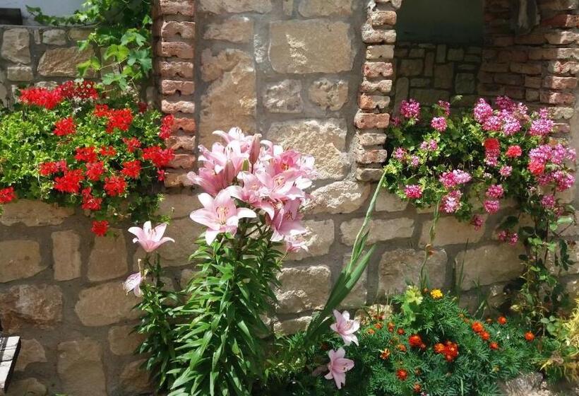 פנסיון Villa Nasco