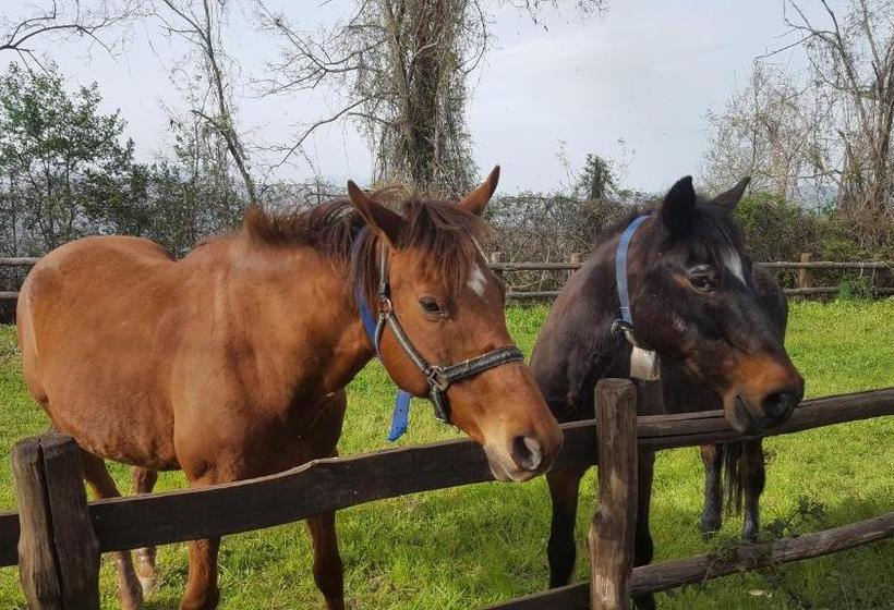 فندق Agriturismo Aria Fina