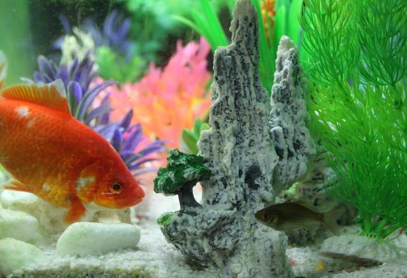 فندق Agriturismo Aria Fina