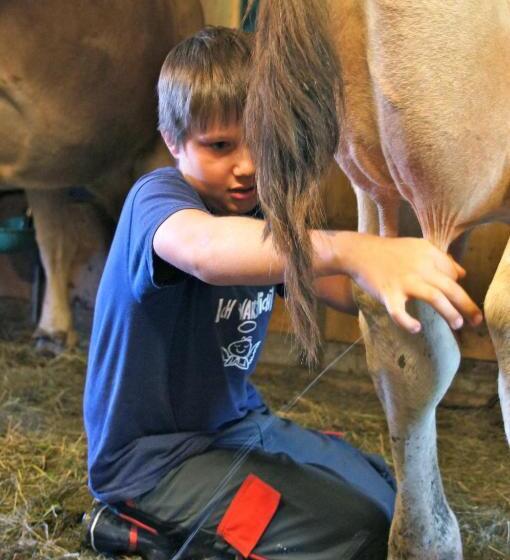 هتل Kinderbauernhof