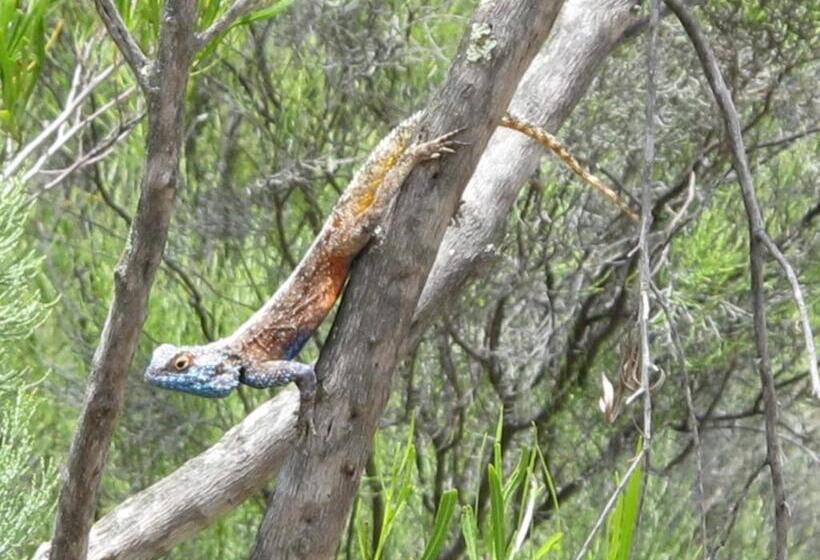 酒店 Meijer's Rust