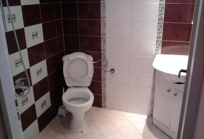 Пансион Aleks Guest House