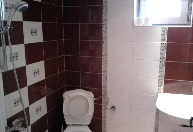 Пансион Aleks Guest House