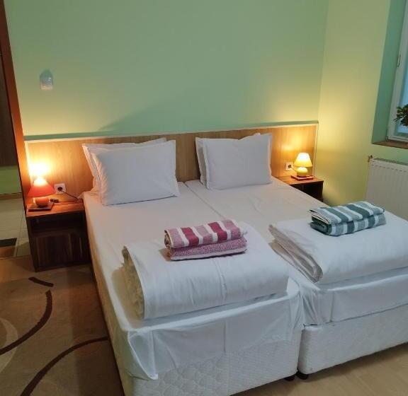 Пансион Aleks Guest House