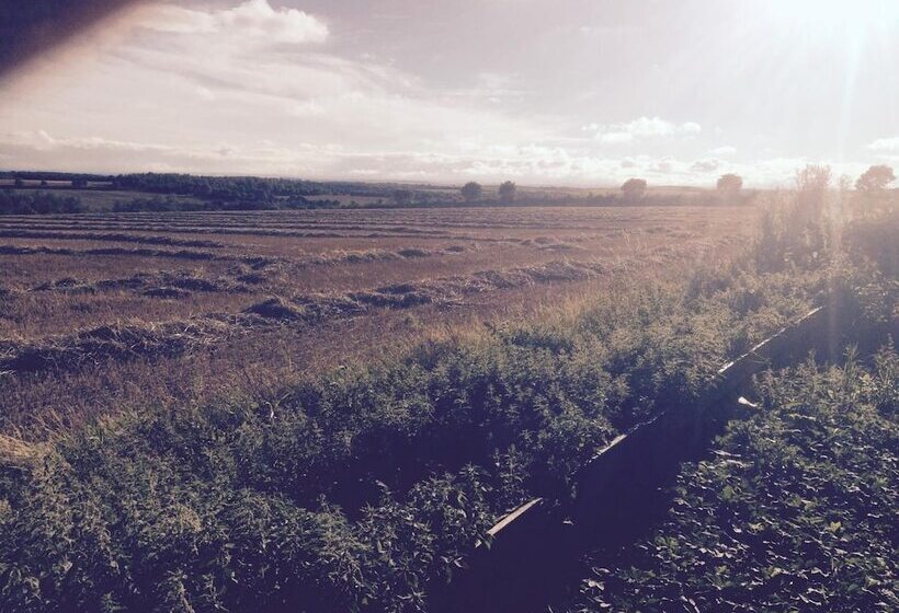 Пансион Rolandscroft Guest House