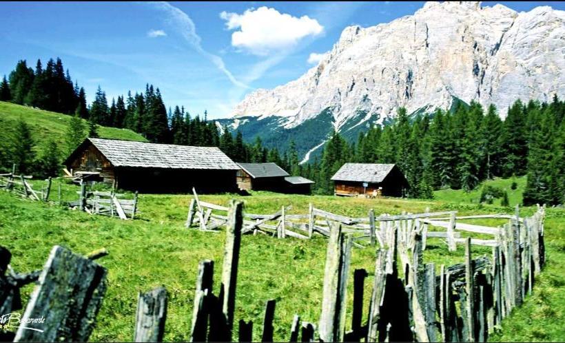 Residence Bosco Verde