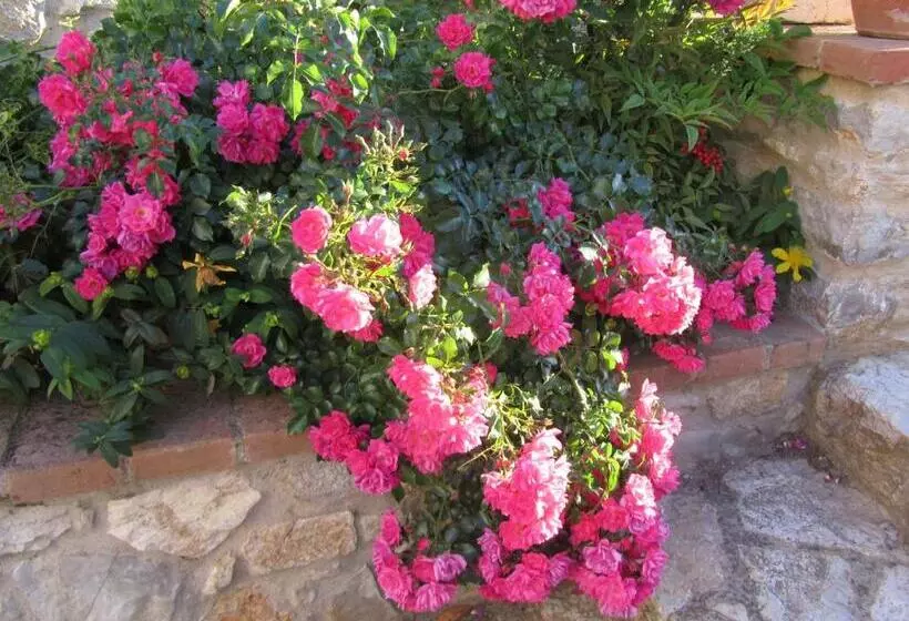 Hotelli Agriturismo Borghetto Il Montino