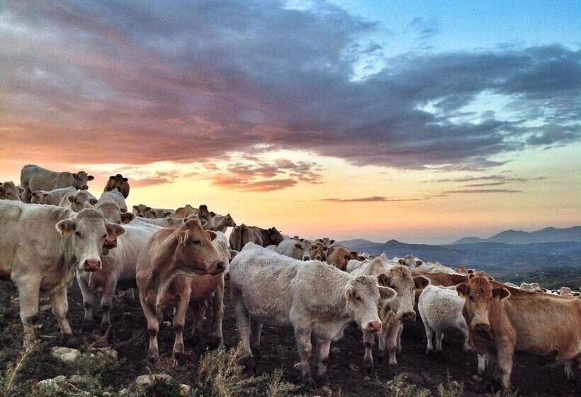 هتل Ridocco Agriturismo