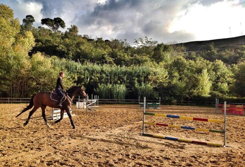 هتل Ridocco Agriturismo