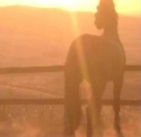 هتل Ridocco Agriturismo