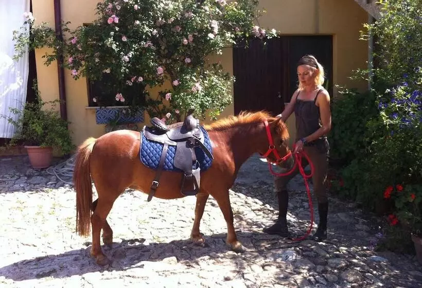 ホテル Ridocco Agriturismo