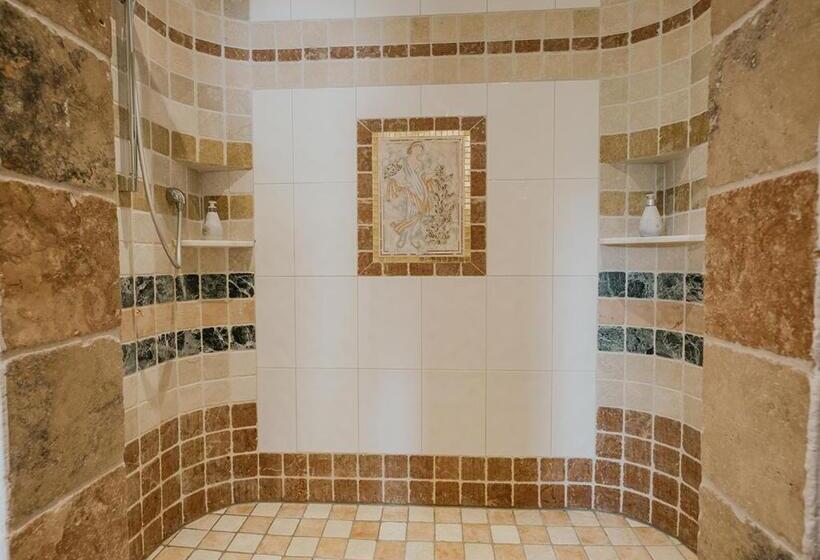 پانسیون Hoferhof Ski In & Ski Out Hotel Schladming Dachstein