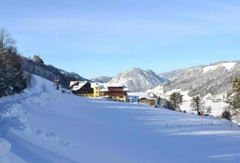 پانسیون Hoferhof Ski In & Ski Out Hotel Schladming  Dachstein