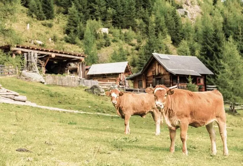 پانسیون Hoferhof Ski In & Ski Out Hotel Schladming  Dachstein