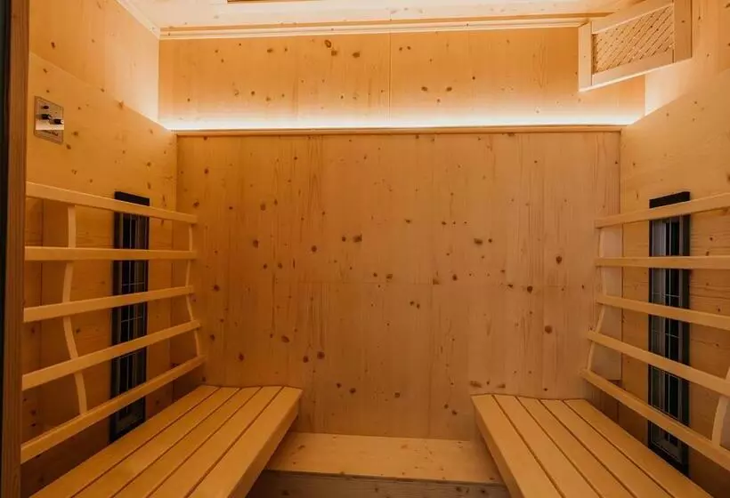 پانسیون Hoferhof Ski In & Ski Out Hotel Schladming  Dachstein
