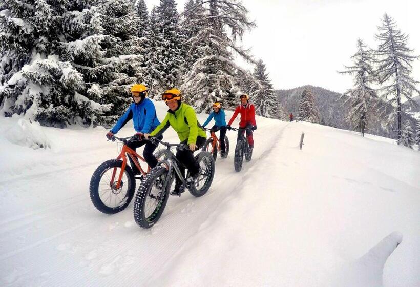 پانسیون Hoferhof Ski In & Ski Out Hotel Schladming Dachstein