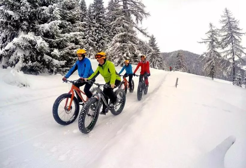 پانسیون Hoferhof Ski In & Ski Out Hotel Schladming  Dachstein