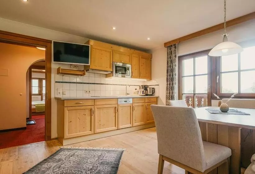 پانسیون Hoferhof Ski In & Ski Out Hotel Schladming  Dachstein