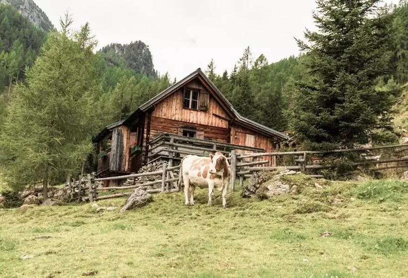 پانسیون Hoferhof Ski In & Ski Out Hotel Schladming  Dachstein