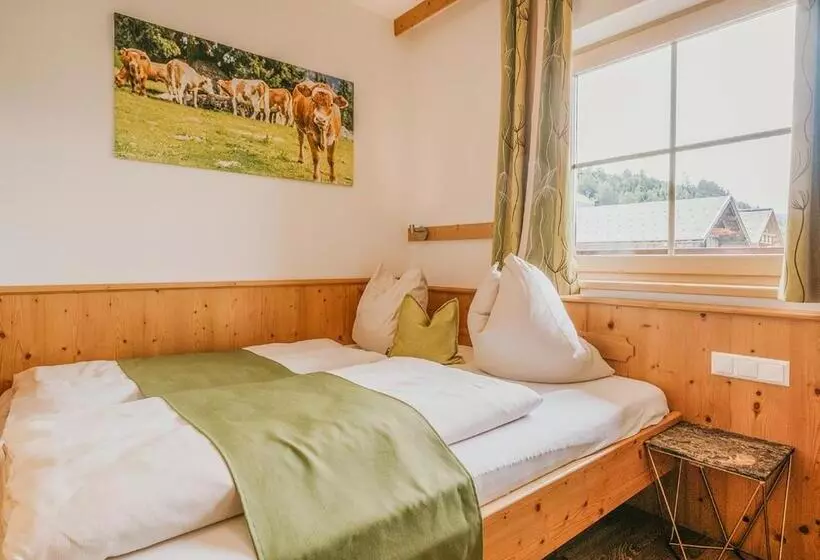 پانسیون Hoferhof Ski In & Ski Out Hotel Schladming  Dachstein