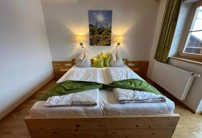 پانسیون Hoferhof Ski In & Ski Out Hotel Schladming  Dachstein
