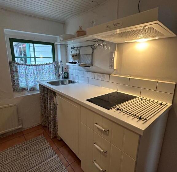 פנסיון Kungshagagård