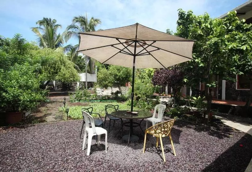 پانسیون Lava House Hostal
