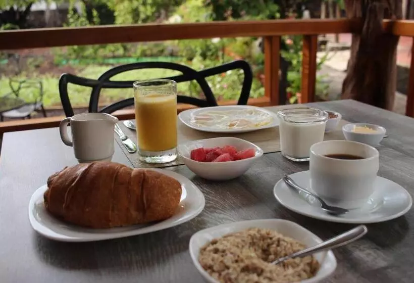 پانسیون Lava House Hostal