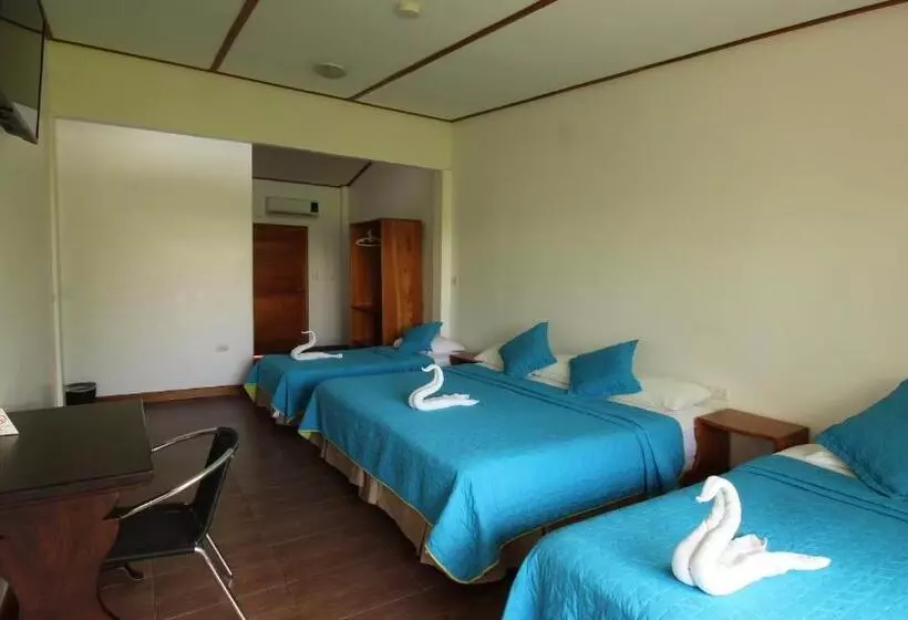 پانسیون Lava House Hostal
