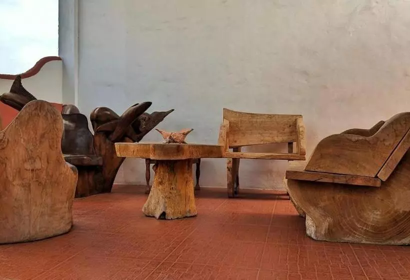 پانسیون Lava House Hostal